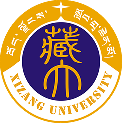西藏双一流大学